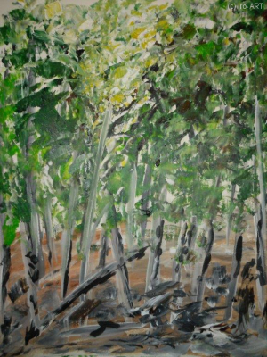 Wald in Weyregg
