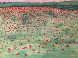 Mohnblumen