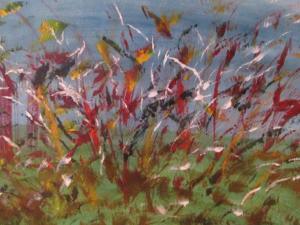 Wilde Wiese