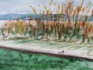 Weiden Steg mit Ente