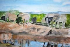 Elefanten und Nashorn am Wasserloch