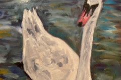 Schwan