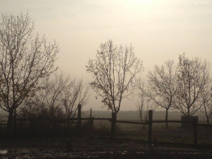 Neusiedl