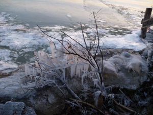 Eis im Neusiedlersee