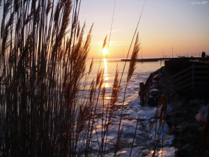 Winter am Neusiedlersee
