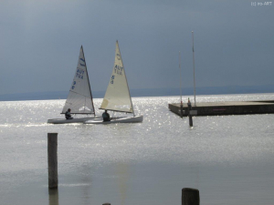 Boote am Neusiedlersee