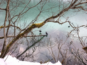 Am Jägersee