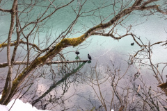 Am Jägersee